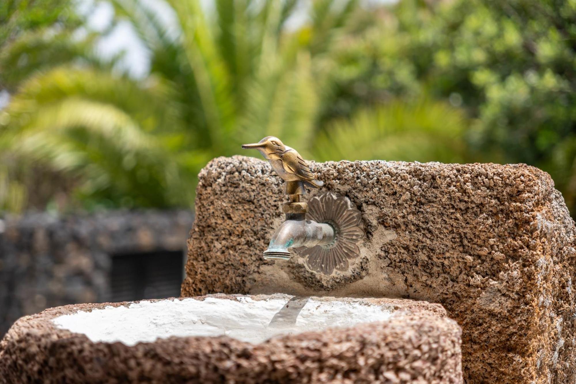 Casa Timanfaya In Tegoyo Villa Conil Eksteriør billede